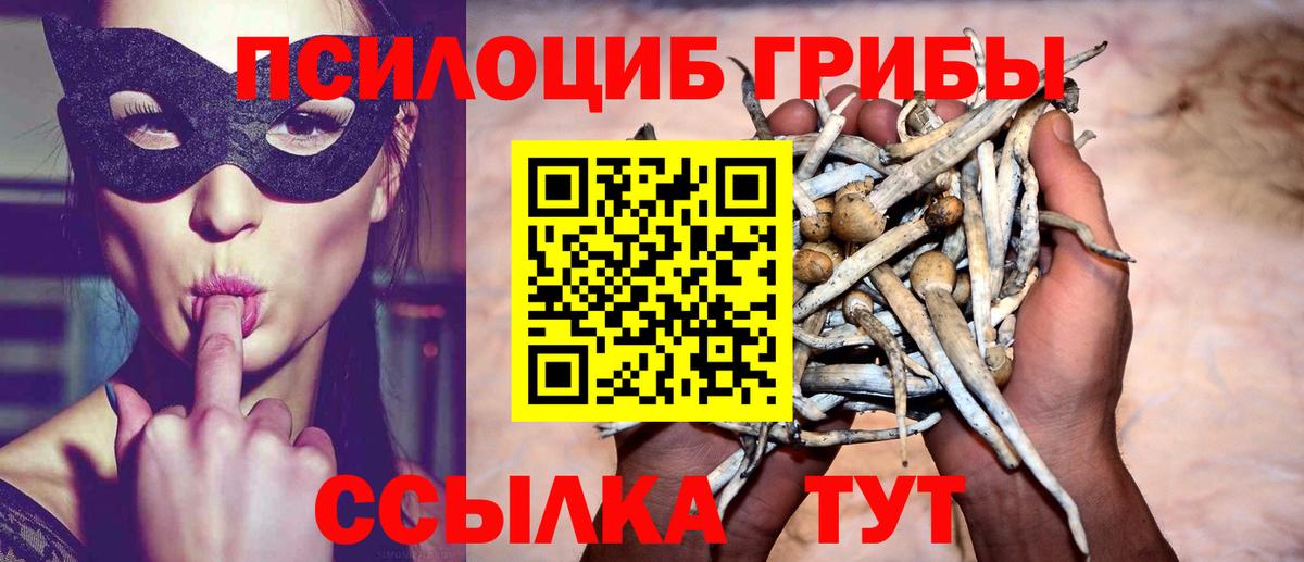 Галлюциногенные грибы Psilocybine cubensis  Галлюциногенные грибы GOLDEN TEACHER  Ивантеевка  Вход с VPN 