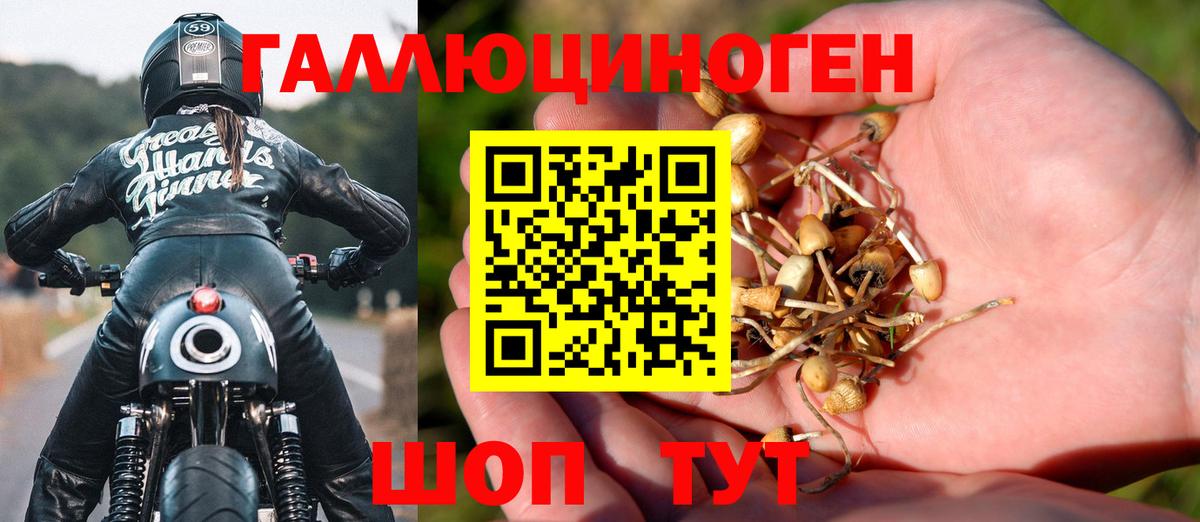 A PVP Ивантеевка
