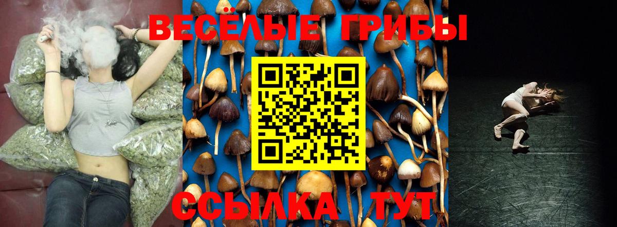 Галлюциногенные грибы ЛСД Ивантеевка